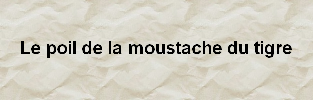 Le_poil_de_la_moustache_du_tigre.png